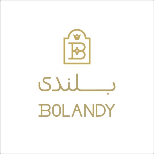 کد تخفیف بلندی - Bolandy