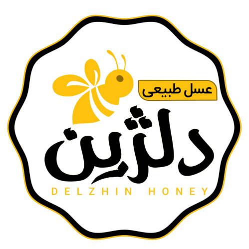 کد تخفیف دلژین - Delzhin