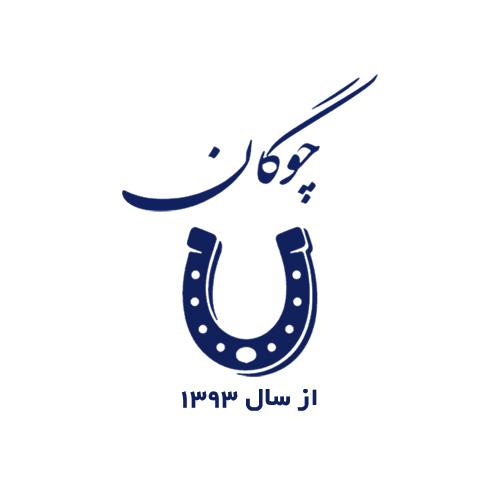 کد تخفیف فروشگاه چوگان - Chogan Store