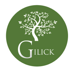 کد تخفیف مواد غذایی سالم گیلیک - Gilick