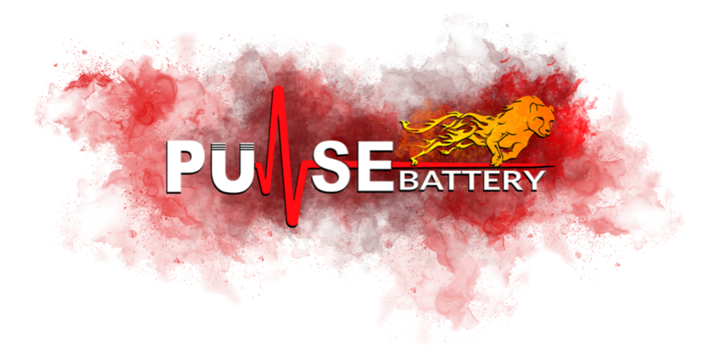 کد تخفیف پالس باتری - Pulse Battery