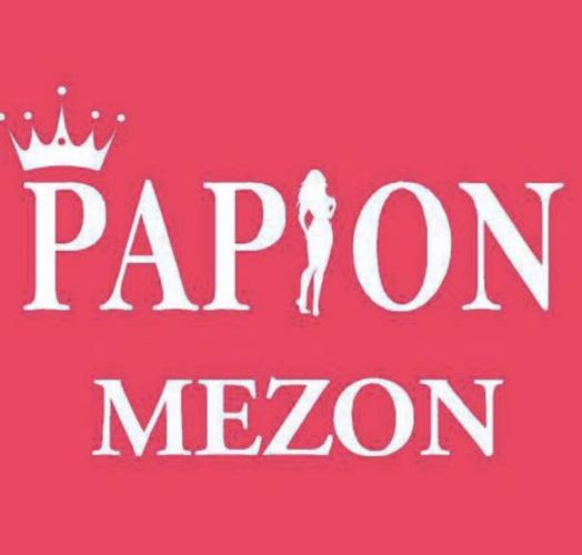 کد تخفیف پاپیون - Papion