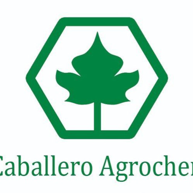 کد تخفیف کابالرو - Caballero