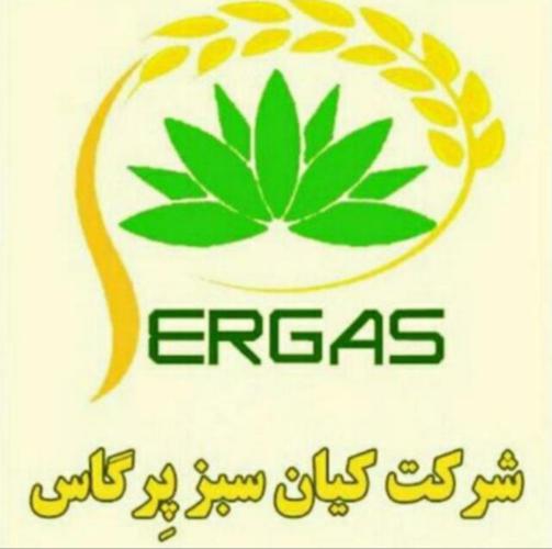 کد تخفیف کیان سبز پرگاس - Kian Sabz Pergas