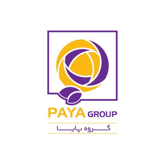 کد تخفیف گروه پایا - Paya Group
